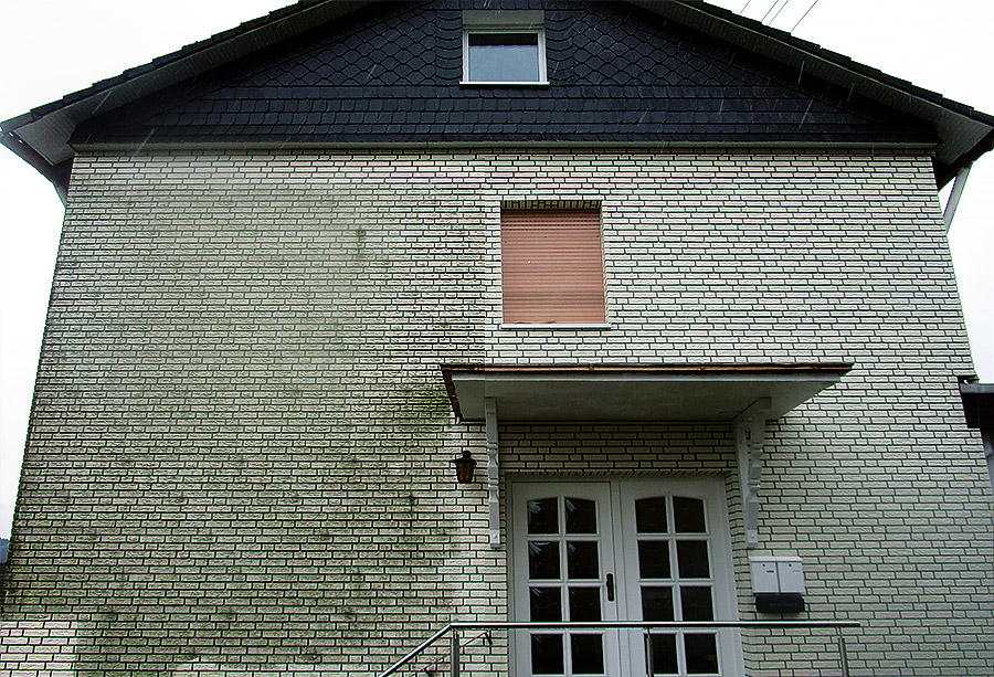 Fassade mit Algenbefall vor Reinigung